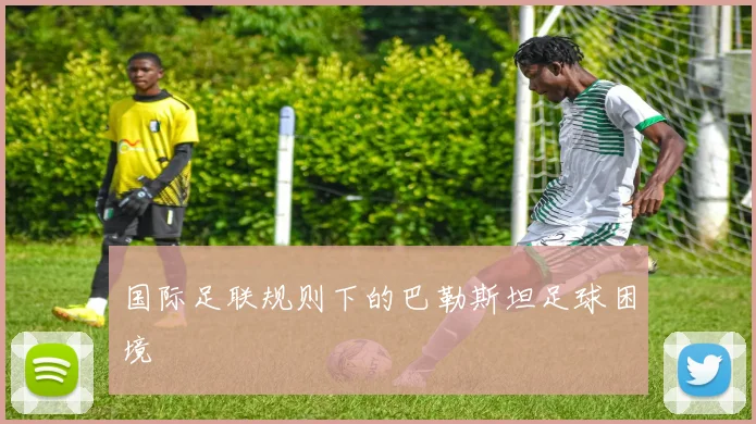国际足联规则下的巴勒斯坦足球困境