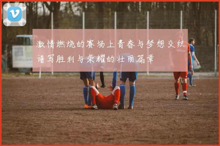 激情燃烧的赛场上青春与梦想交织谱写胜利与荣耀的壮丽篇章