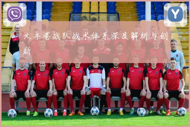 大丰港战队战术体系深度解析与创新
