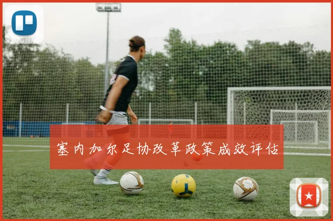 塞内加尔足协改革政策成效评估