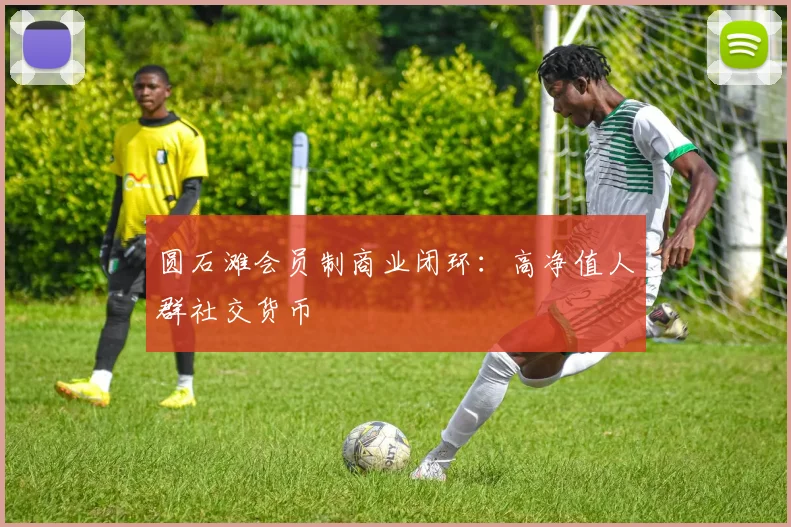 圆石滩会员制商业闭环：高净值人群社交货币